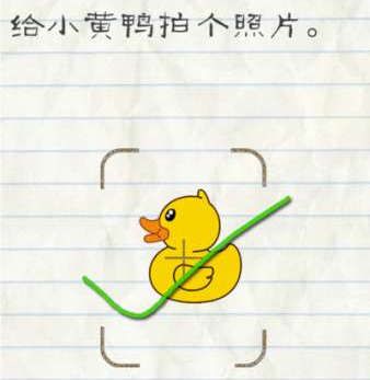 沙特电竞世界杯王者荣耀项目开赛